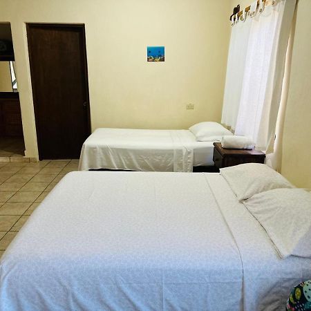 Bungalow Cirujano Apartment Cabo Pulmo ภายนอก รูปภาพ