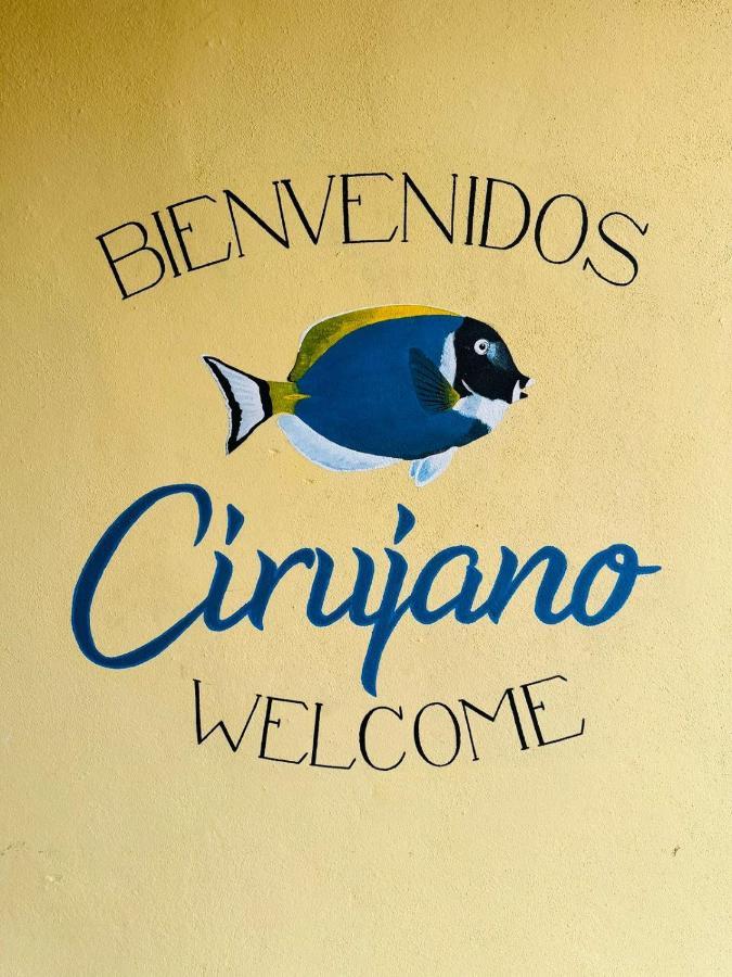 Bungalow Cirujano Apartment Cabo Pulmo ภายนอก รูปภาพ