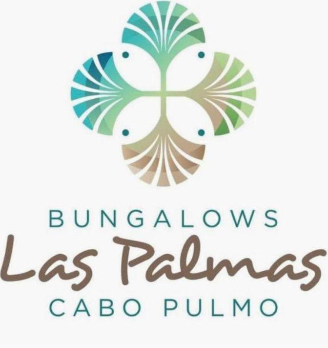 Bungalow Cirujano Apartment Cabo Pulmo ภายนอก รูปภาพ