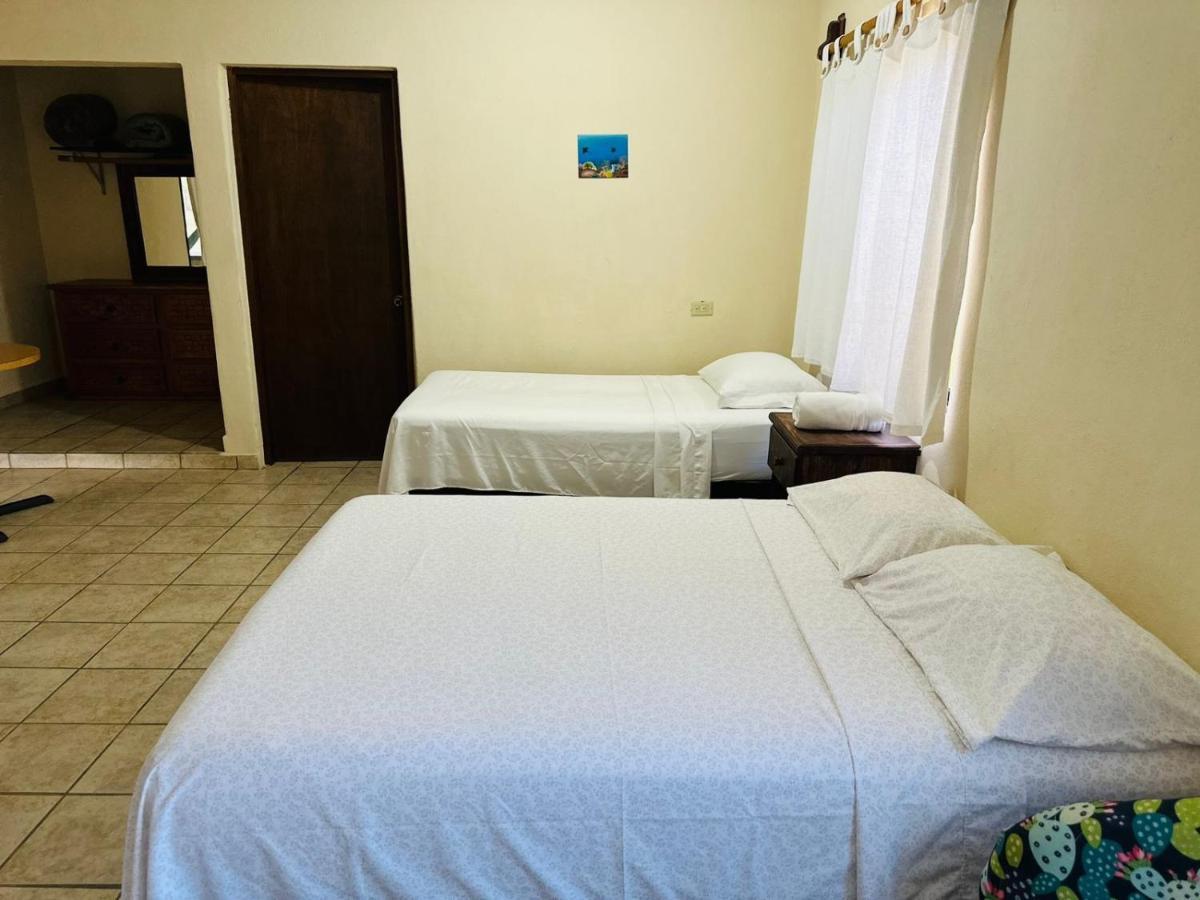 Bungalow Cirujano Apartment Cabo Pulmo ภายนอก รูปภาพ